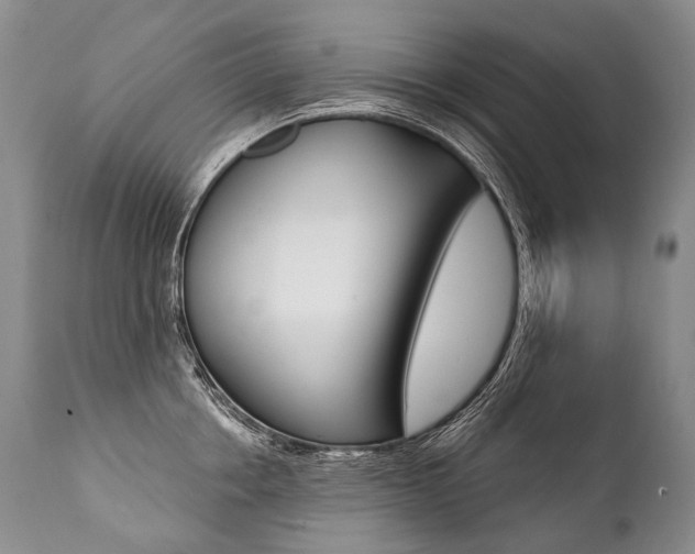 X0000112000858200908031045