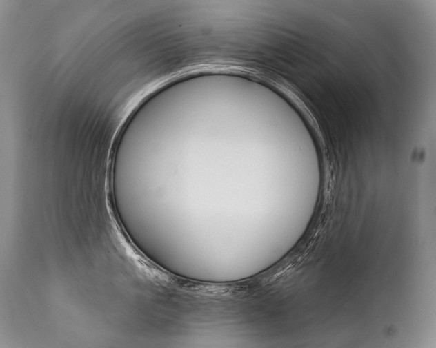 X0000112000861200908031045