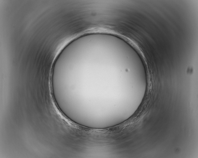 X0000112000863200908031045