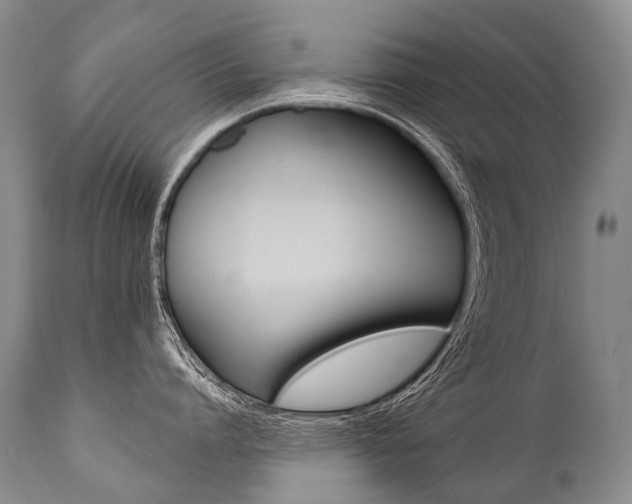X0000112000864200908031045