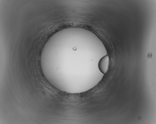 X0000112000865200908031044