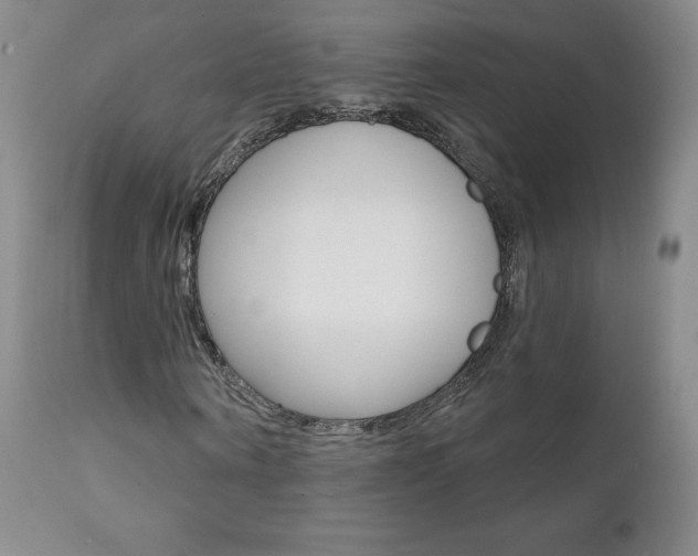 X0000112000866200908031044
