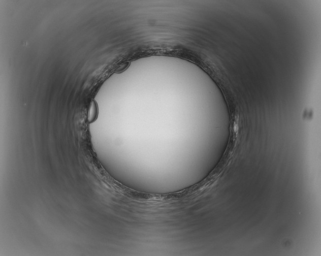 X0000112000867200908031044