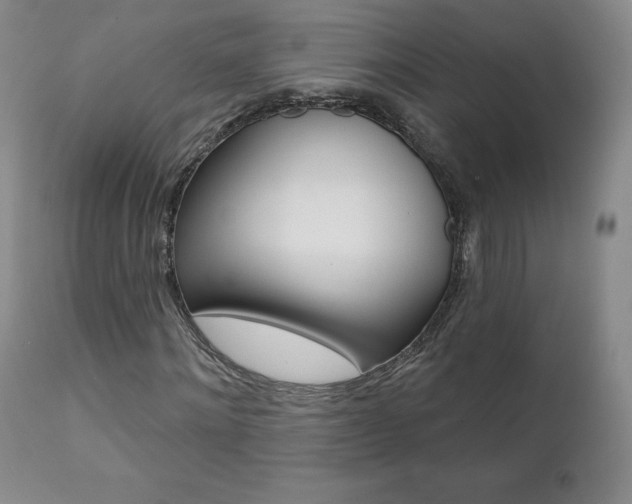 X0000112000868200908031044