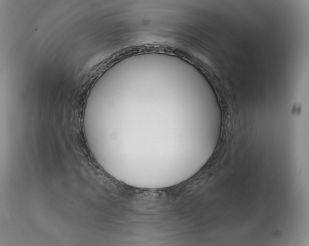 X0000112000869200908031044