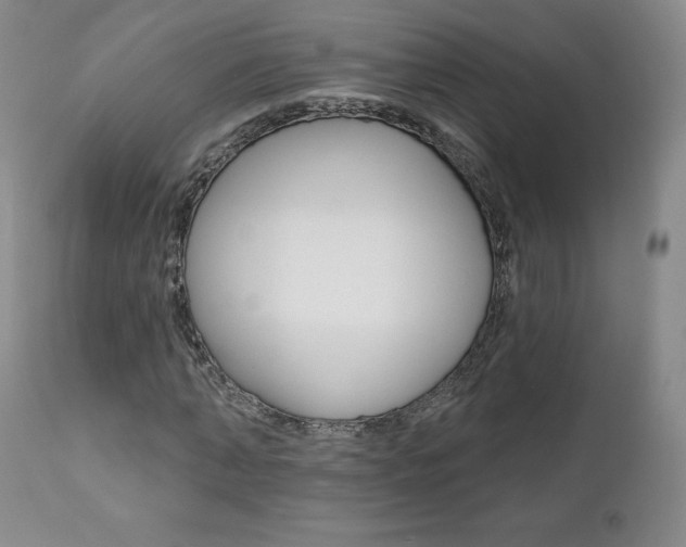 X0000112000870200908031044