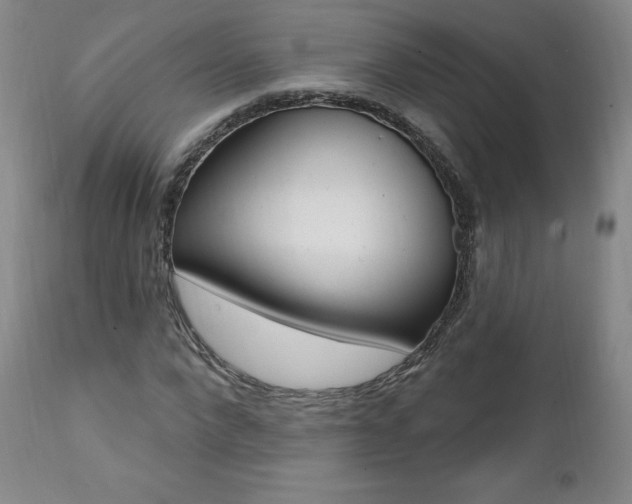 X0000112000872200908031044