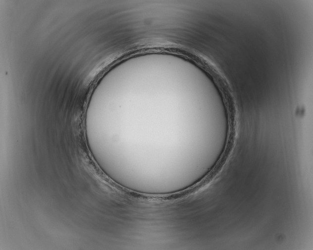 X0000112000873200908031044