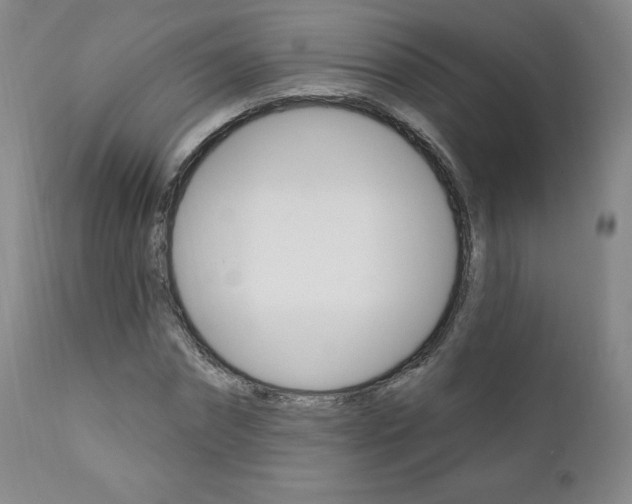 X0000112000874200908031044