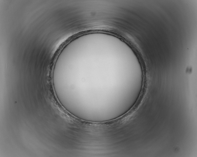 X0000112000875200908031044