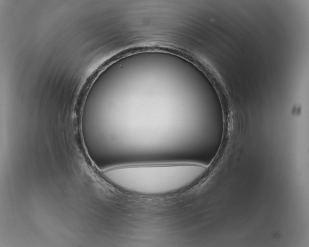 X0000112000876200908031044
