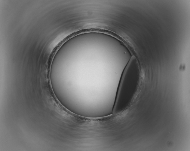 X0000112000877200908031044