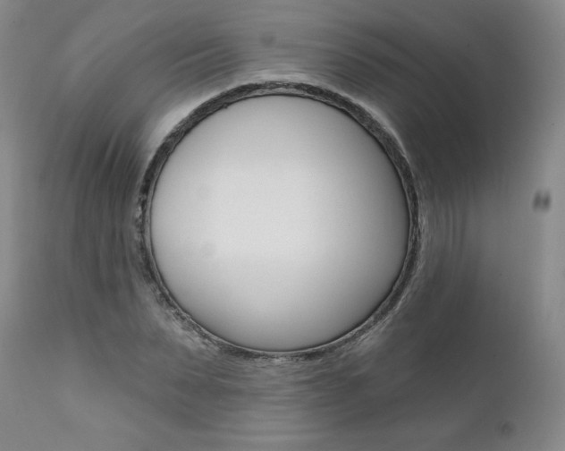 X0000112000879200908031044