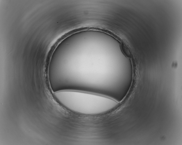 X0000112000880200908031044