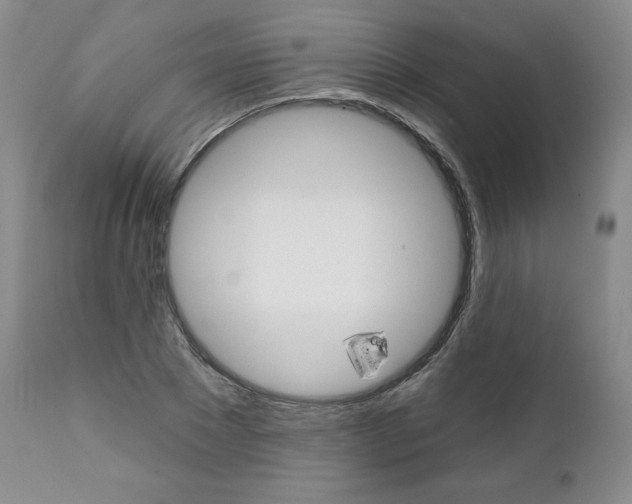X0000112000881200908031044