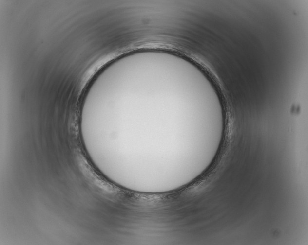 X0000112000882200908031044