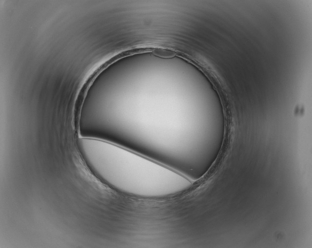 X0000112000884200908031044