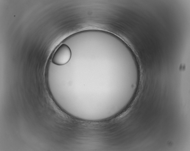 X0000112000885200908031044