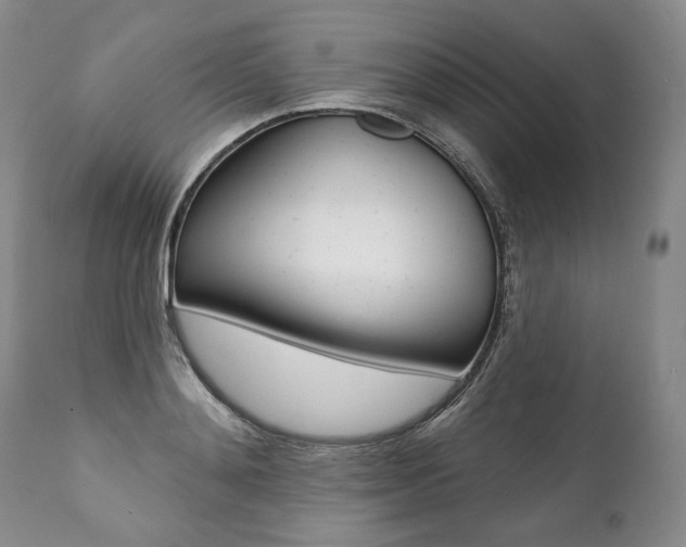 X0000112000892200908031043