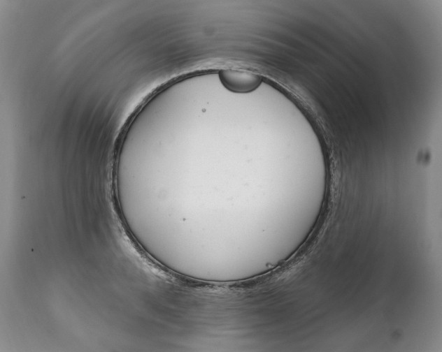 X0000112000896200908031043