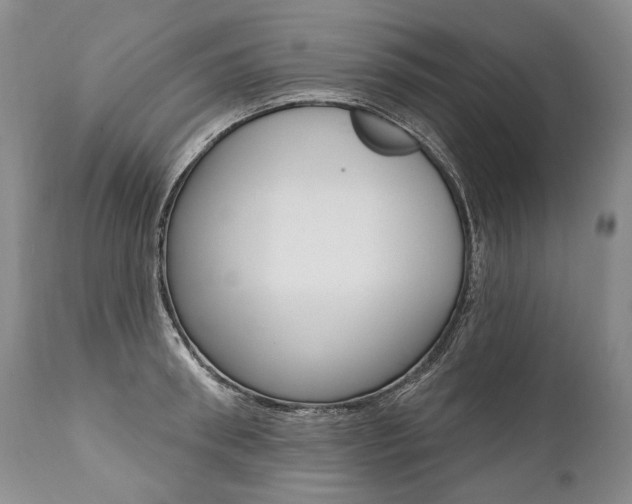 X0000112000898200908031043