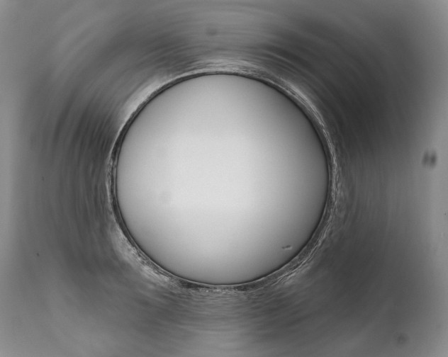 X0000112000899200908031043