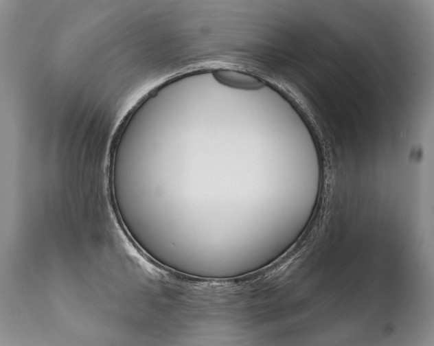 X0000112000902200908031043