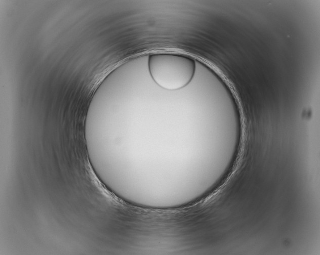 X0000112000905200908031043