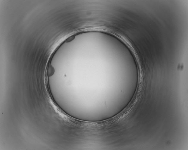 X0000112000909200908031043