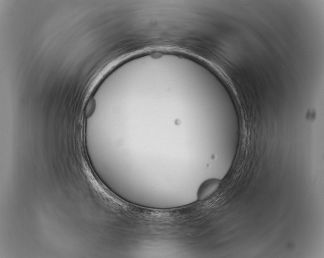 X0000112000911200908031043