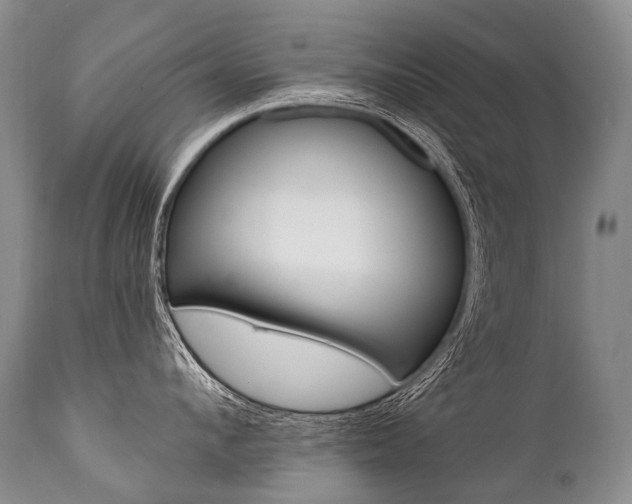 X0000112000912200908031043