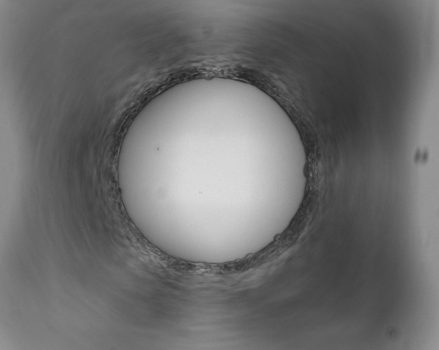 X0000112000913200908031042
