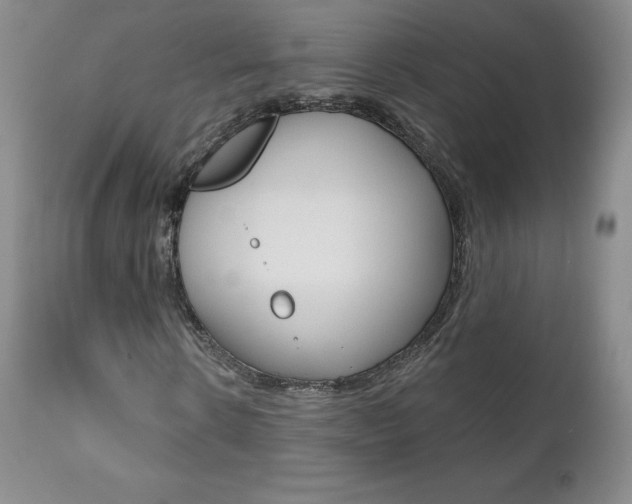 X0000112000914200908031042