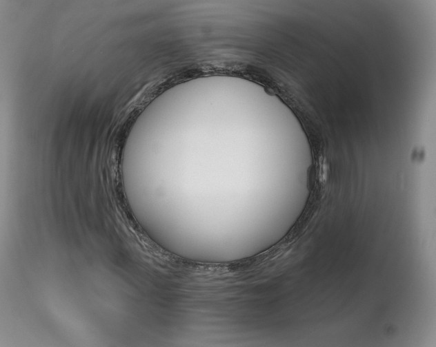 X0000112000915200908031042