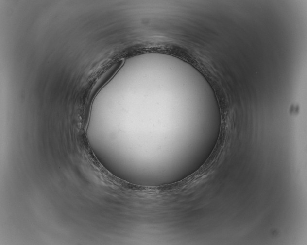 X0000112000916200908031042