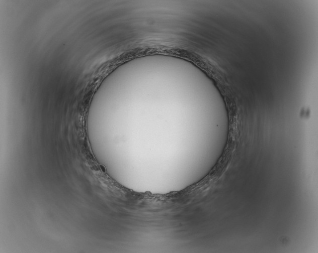 X0000112000917200908031042