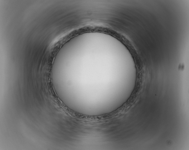 X0000112000919200908031042