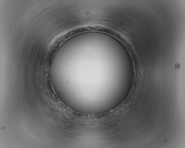 X0000112000920200908031042