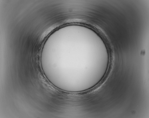 X0000112000921200908031042