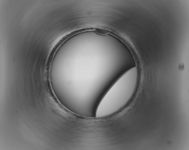 X0000112000924200908031042