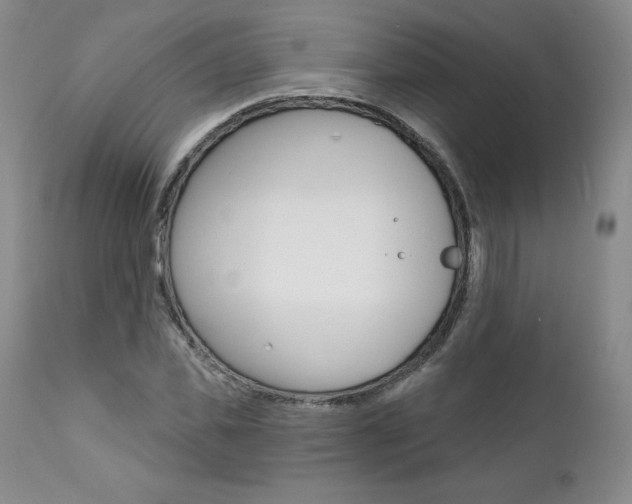 X0000112000925200908031042