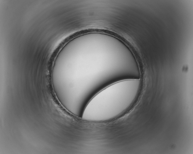 X0000112000926200908031042