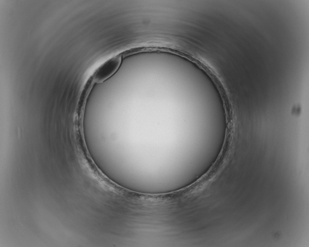 X0000112000928200908031042