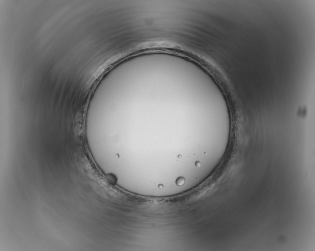 X0000112000929200908031042