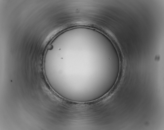 X0000112000930200908031042