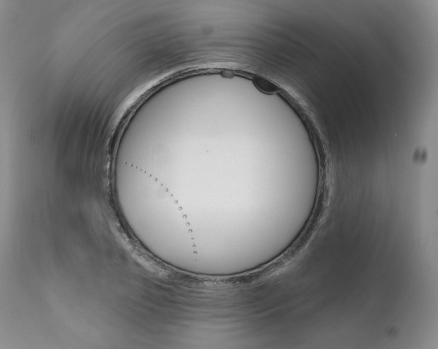 X0000112000933200908031042