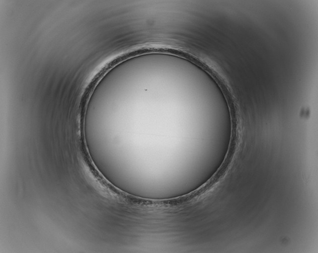 X0000112000934200908031042