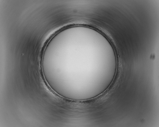 X0000112000935200908031042