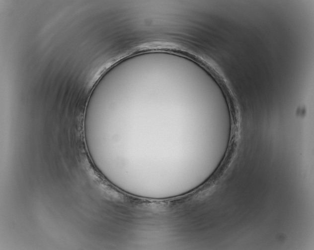 X0000112000937200908031042