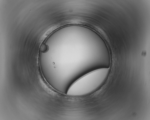 X0000112000938200908031042